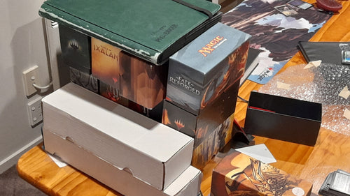 Your Bi-Weekly Update with Willis 12-08-2024