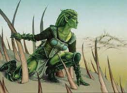 Your Bi-Weekly Update with Willis 16-08-2021