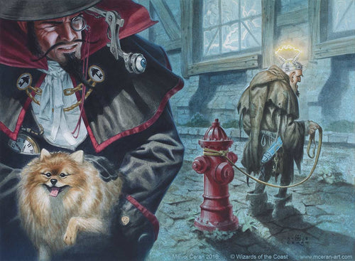 Your-Bi-Weekly Update with Willis 15-11-2021