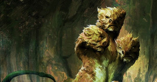 Your Bi-Weekly Update with Willis 15-07-2024