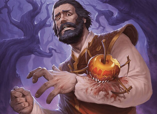 Your Bi-Weekly Update with Willis 29-07-2024