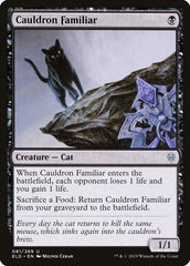 Daily Deal